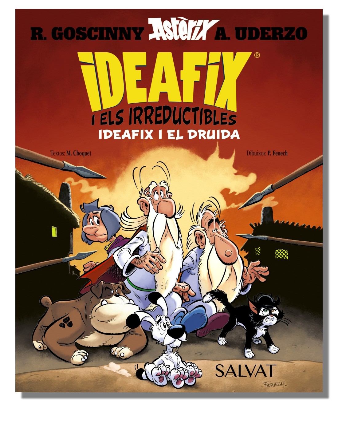 Ideafix i els irreductibles, 5. Ideafix i el druida